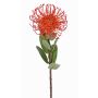Umělá protea BAILY, oranžová, 55cm, Ø10cm