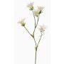 Umělá višeň pilovitá Kanzan KASTALIA, krémový, 65cm, Ø4-5cm