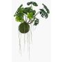 Umělý philodendron monstera deliciosa YUNUS, mechová koule, 60cm