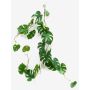 Dekorační filodendron monstera deliciosa girlanda MATAS, 110m