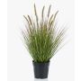 Umělá tráva dochan psárkovitýYWAIN laty, béžově zelená, 60cm