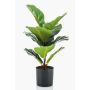 Umělý Ficus lyrata EMILIANA, zelený, 55cm