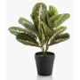 Umělá maranta SITULA, zeleno-červená, 30cm