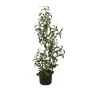 Umělý olivový keř LEANDRU s plody, zelený, 90cm