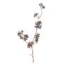 Plastová větev eukalyptu SOHA s plody, tmavě hnědá, 60 cm