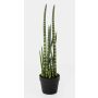 Umělá sansevieria cylindrica AIDANA, zelenožlutá, 65cm