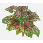 Umělé caladium BECRUX na zápichu, zelená-růžová, 35cm