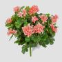 Umělá pelargonie KAISA na zápichu, růžová, 35cm