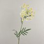 Umělý květ kopru AMLA, krémově žlutý, 75cm, Ø15cm