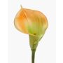 Dekorativní květina calla DAISCHI, žlutozelená, 70cm