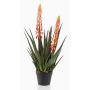 Umělá rostlina aloe vera SUSUMI s květy, dekorativní květináč, oranžovo-zelená, 80cm