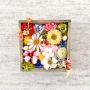 DIY - nástěnný obraz Colorful Blooms - barevná květinová nádhera v dřevěném rámu