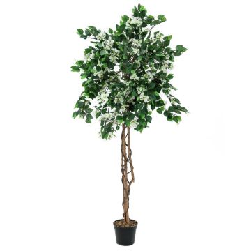 Umělá bugenvila BANU, skutečné kmeny, květy, bílá, 180cm