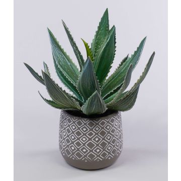 Dekorativní Agave americana HEDI v terakotovém květináči, zelená, 35cm Dekorativní Agave americana HEDI v terakotovém květináči, zelená, 35cm