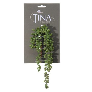 Umělý sukulent Senecio NELLAS, zátka, zelená, 35cm Umělý sukulent Senecio NELLAS, zátka, zelená, 35cm
