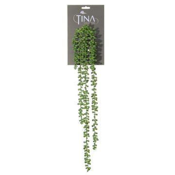 Umělý sukulent Senecio NELLAS, tyčinka, zelená, 70cm Umělý sukulent Senecio NELLAS, tyčinka, zelená, 70cm