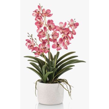 Umělá orchidej Vanda PAVRA v keramickém květináči, kořeny, růžovo-bílá, 60cm