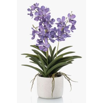 Umělá orchidej Vanda PAVRA v keramickém květináči, kořeny, fialovo-bílá, 60cm