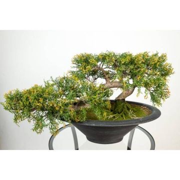 Umělý strom bonsai cedr GABRIA, s kořeny, v dekorační míse, zeleno-oranžová, 40cm Umělý strom bonsai cedr GABRIA, s kořeny, v dekorační míse, zeleno-oranžová, 40cm