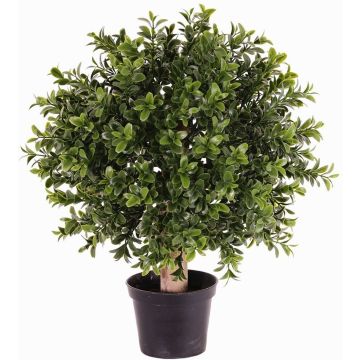 Umělý buxus TOM, přírodní kmen, pro interiér i exteriér, 35cm, Ø25cm Umělý buxus TOM, přírodní kmen, pro interiér i exteriér, 35cm, Ø25cm