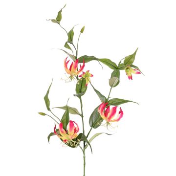 Umělá koruna slávy KINTARO, růžovožlutá, 120cm