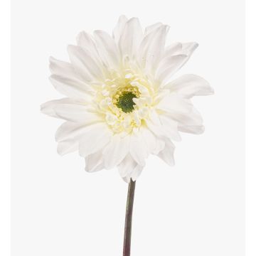 Umělá gerbera FRALWE, Eco Collection, bílá, 65cm, Ø13cm