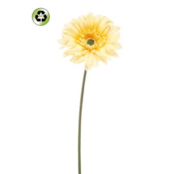 Umělá gerbera FRALWE, Eco Collection, světle žlutá, 65cm, Ø13cm