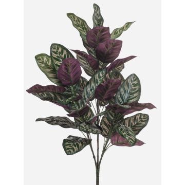 Umělá rostlina Calathea makoyana TROGAR na tyči, zelenofialová, 70cm Umělá rostlina Calathea makoyana TROGAR na tyči, zelenofialová, 70cm