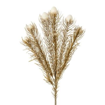 Dekorační větvička - polštářek Protea KROLI, krémově hnědá, 50cm Dekorační větvička - polštářek Protea KROLI, krémově hnědá, 50cm