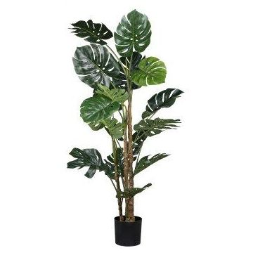 Umělý filodendron Monstera Deliciosa ZARUM, 160cm