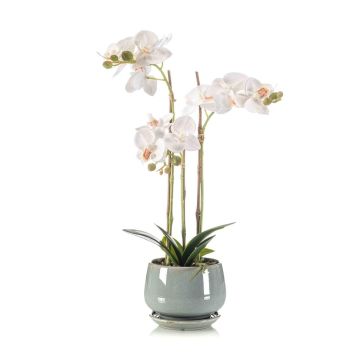 Umělá orchidej Phalaenopsis JOLANA v keramickém květináči, bílá, 45cm Umělá orchidej Phalaenopsis JOLANA v keramickém květináči, bílá, 45cm