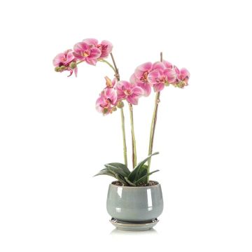 Umělá orchidej Phalaenopsis JOLANA v keramickém květináči, růžová, 45cm