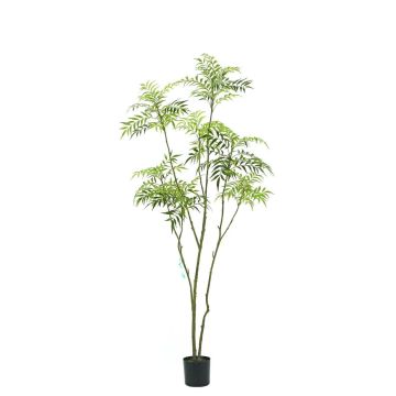 Umělá mahonie KLEANA, umělé kmeny, zelená, 210cm