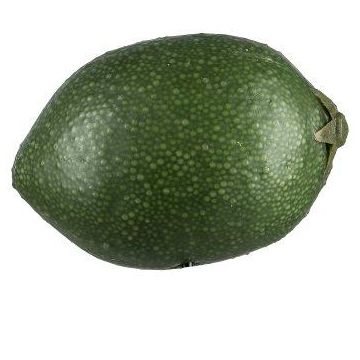 Dekorativní ovoce limetka POLASY, tmavě zelená, 4,5 cm, Ø3,5 cm Dekorativní ovoce limetka POLASY, tmavě zelená, 4,5 cm, Ø3,5 cm