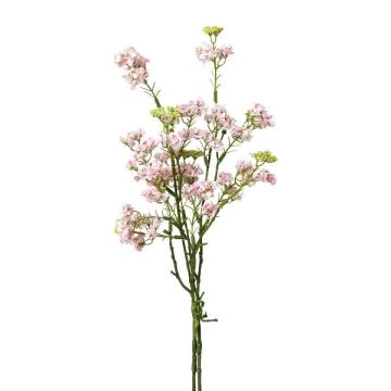 Dekorativní keř spirea KRUNLE s květy, růžová, 50cm