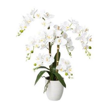 Umělá orchidej Phalaenopsis LUKREN v keramické nádobě, kořeny, bílá, 65cm