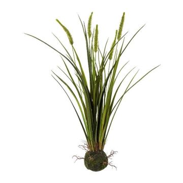 Umělá tráva rákos čínský MILNO, zemní koule, latě, kořeny, zelená, 65cm