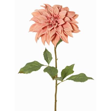 Dekorativní jiřinka PHILLIPPA, Eco Collection, starorůžová, 65cm, Ø15cm Dekorativní jiřinka PHILLIPPA, Eco Collection, starorůžová, 65cm, Ø15cm