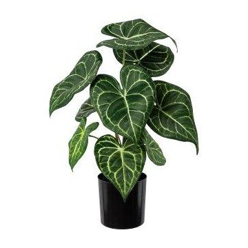 Umělá rostlina Anthurium KURMA, zeleno-bílá, 35cm