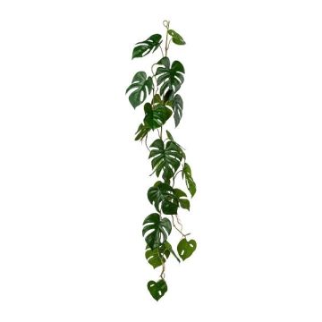Umělý věnec Philodendron Monstera Deliciosa PIMBEL, 105cm, bílý, bílý, bílý.