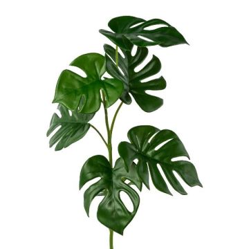 Dekorativní větev Philodendron monstera deliciosa RINTEC, 70cm Dekorativní větev Philodendron monstera deliciosa RINTEC, 70cm