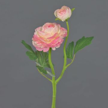Dekorativní ranunculus LIOFA, růžovo-krémová, 35 cm, Ø 8 cm Dekorativní ranunculus LIOFA, růžovo-krémová, 35 cm, Ø 8 cm