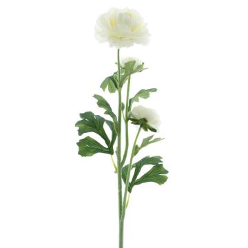 Umělý ranunculus PROTO, krémový, 65cm Umělý ranunculus PROTO, krémový, 65cm