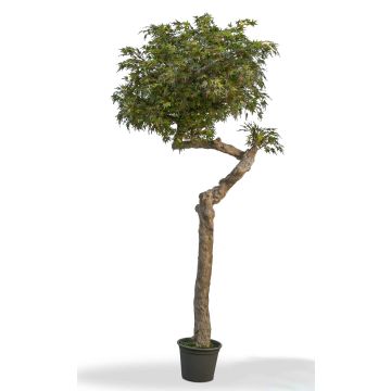 Umělý japonský javor KIMKA, přírodní kmen, zeleno-červený, 275cm - Vyrobeno v Itálii