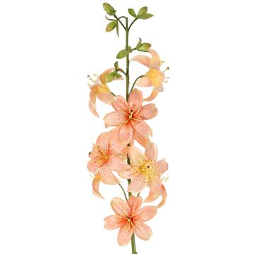 Umělá lilie LABRICKA, růžovožlutá, 100cm, Ø9cm