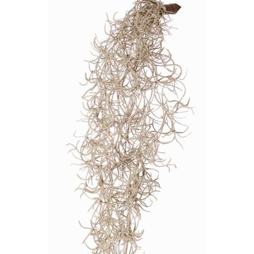 Umělá závěsná rostlina Tillandsia Usneoides LIVADI na tyči, šedá, 115cm Umělá závěsná rostlina Tillandsia Usneoides LIVADI na tyči, šedá, 115cm