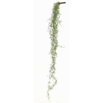 Umělá závěsná rostlina Tillandsia Usneoides LIVADI na tyči, zelená, 115cm Umělá závěsná rostlina Tillandsia Usneoides LIVADI na tyči, zelená, 115cm
