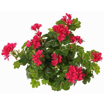Umělá květina pelargonie MIA na tyči, fuchsiová, 40cm, Ø5-8cm Umělá květina pelargonie MIA na tyči, fuchsiová, 40cm, Ø5-8cm