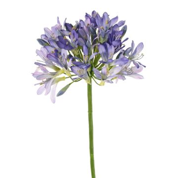 Umělý agapanthus KAFENA, modrofialový, 90cm, Ø20cm Umělý agapanthus KAFENA, modrofialový, 90cm, Ø20cm