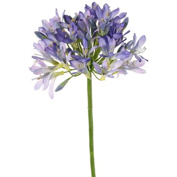 Umělý agapanthus KAFENA, modrofialový, modro-lila, 90cm, Ø20cm Umělý agapanthus KAFENA, modrofialový, modro-lila, 90cm, Ø20cm